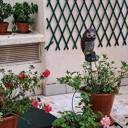 Sunny Terrace * Lisboa