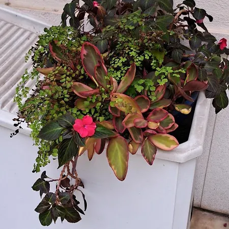 Sunny Terrace شقة